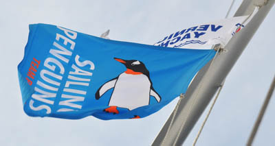 флаг сейлинг пингвинс